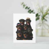 Rottweiler Postkarte (Stehend Vorderseite)