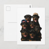 Rottweiler Postkarte (Vorne/Hinten)