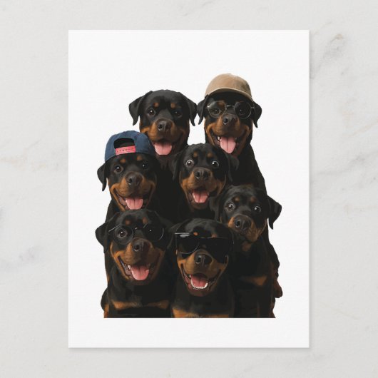 Rottweiler Postkarte (Vorderseite)