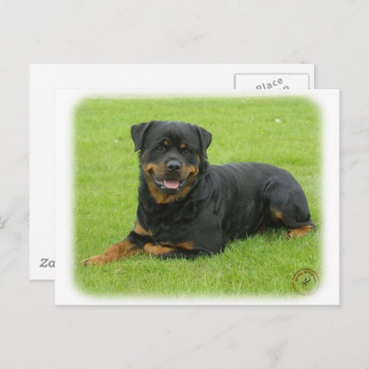 Rottweiler Postkarte (Vorne/Hinten)