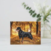 Rottweiler Postkarte (Stehend Vorderseite)