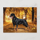 Rottweiler Postkarte (Vorderseite)