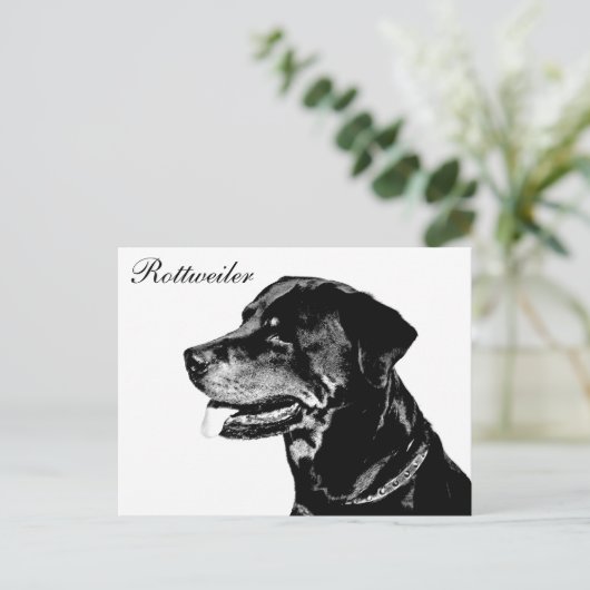 Rottweiler Postkarte (Stehend Vorderseite)