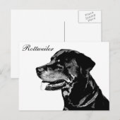 Rottweiler Postkarte (Vorne/Hinten)