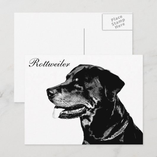 Rottweiler Postkarte (Vorne/Hinten)