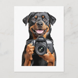 Rottweiler postkarte