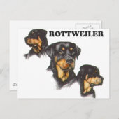 Rottweiler Postkarte (Vorne/Hinten)