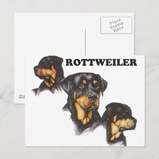 Rottweiler Postkarte (Vorne/Hinten)