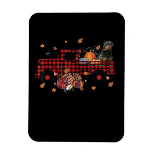 Rottweiler Pumpkin Truck Erntedank Halloween Magnet