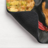 Rottweiler Pup auf dem Boden im Wald Mousepad (Ecke)