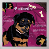 Rottweiler Pup Poster (Vorne)