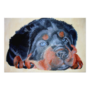 Rottweiler Puppy Artistic Pet Portrait Fotodruck