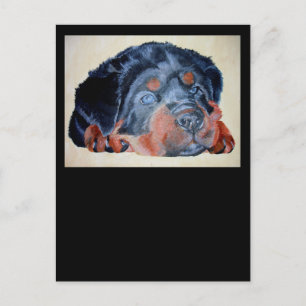 Rottweiler Puppy Artistic Pet Portrait Postkarte