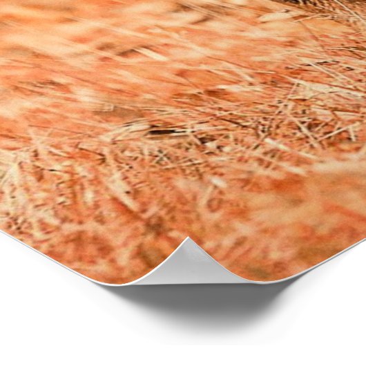 Rottweiler Puppy Dog Poster (Ecke)