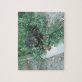 Rottweiler Puppy Foto Puzzle (Vertikal)