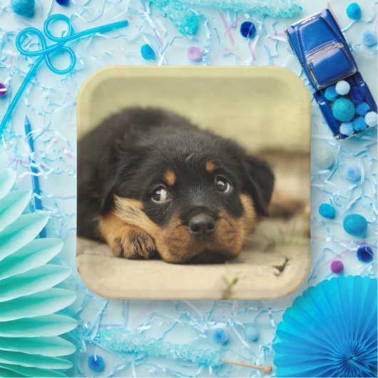 Rottweiler Puppy Pappteller (Party)