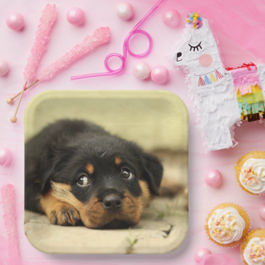 Rottweiler Puppy Pappteller (Party)