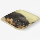 Rottweiler Puppy Pappteller (Gewinkelt)