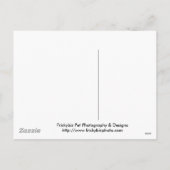 Rottweiler Puppy Santa Paws Karten (Rückseite)