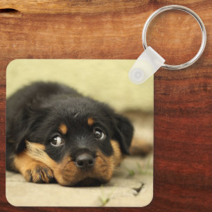 Rottweiler Puppy Schlüsselanhänger