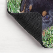 Rottweiler pus. mousepad (Ecke)