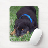 Rottweiler pus. mousepad (Mit Mouse)