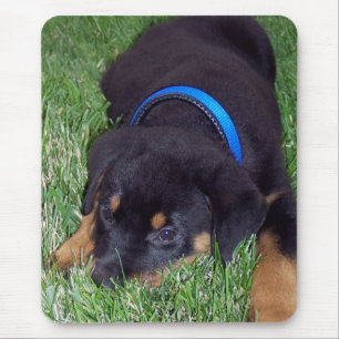 Rottweiler pus. mousepad