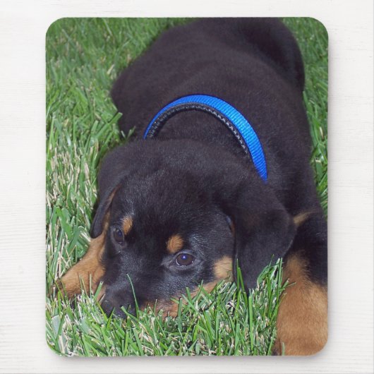 Rottweiler pus. mousepad (Vorne)