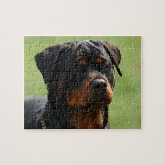 Rottweiler Puzzle (Horizontal)