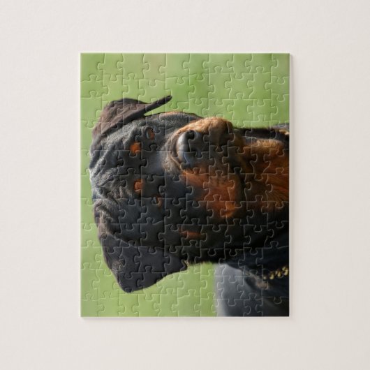 Rottweiler Puzzle (Vertikal)