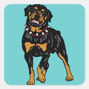 Rottweiler Quadratischer Aufkleber