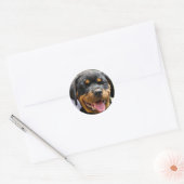 Rottweiler Runder Aufkleber (Umschlag)