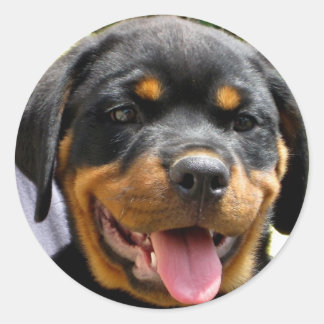 Rottweiler Runder Aufkleber