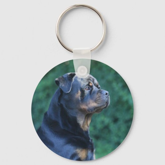 Rottweiler Schlüsselanhänger (Vorderseite)