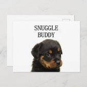 Rottweiler-Schnurrbart Postkarte (Vorne/Hinten)