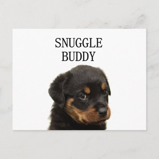 Rottweiler-Schnurrbart Postkarte (Vorderseite)