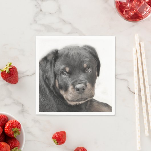 Rottweiler Serviette (Beispiel)