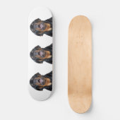 Rottweiler-Skateboard Skateboard (Vorderseite)