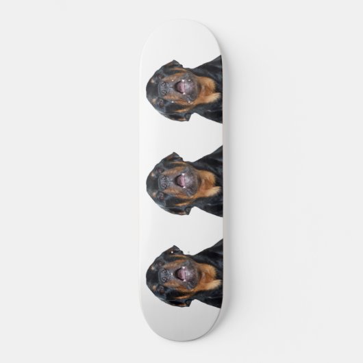 Rottweiler-Skateboard Skateboard (Vorderseite)