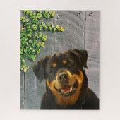 Rottweiler Smiling Jigsaw Puzzle (Vertikal)