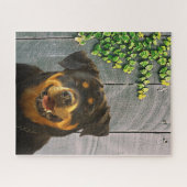 Rottweiler Smiling Jigsaw Puzzle (Horizontal)