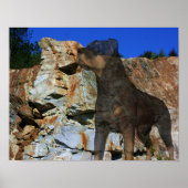 Rottweiler Stone Cliff Wall Fantasy Art Poster (Vorne)