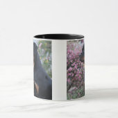 Rottweiler Tasse (Zentrum)