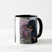 Rottweiler Tasse (VorderseiteRechts)
