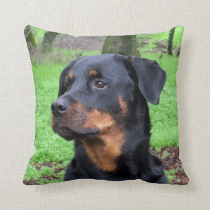 Rottweiler träumendes Kissen