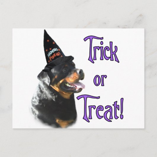 Rottweiler Trick Postkarte (Vorderseite)