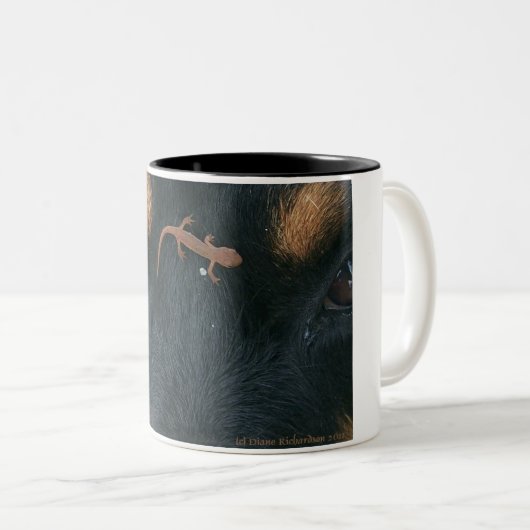 Rottweiler u. Salamander-Tasse Zweifarbige Tasse (VorderseiteRechts)
