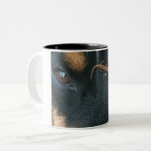 Rottweiler u. Salamander-Tasse Zweifarbige Tasse (Vorderseite Links)