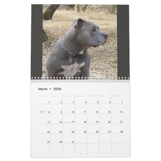 Rottweiler und Pitbuler Kalender (Mär 2026)