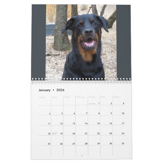 Rottweiler und Pitbuler Kalender (Jan 2026)